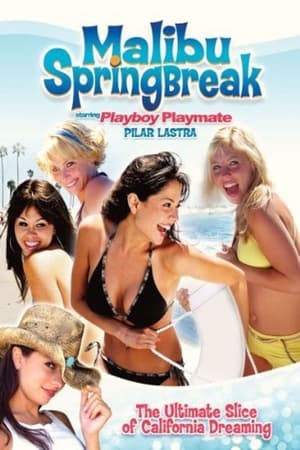 Malibu Spring Break watch Malibu Spring Break