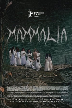 Mammalia watch Mammalia