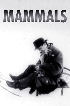 Mammals watch Mammals