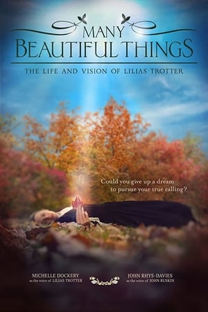 Many Beautiful Things watch Many Beautiful Things