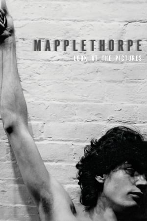Mapplethorpe: Look at the Pictures watch Mapplethorpe: Look at the Pictures