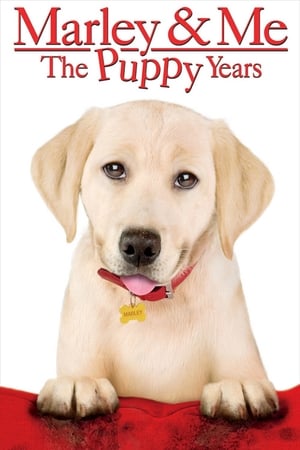 Marley & Me: The Puppy Years watch Marley & Me: The Puppy Years