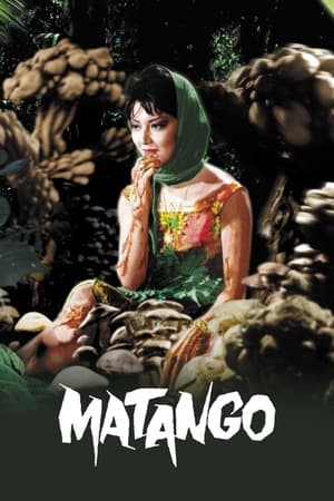 Matango watch Matango