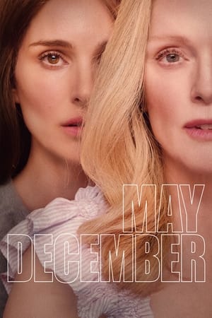 May December watch May December