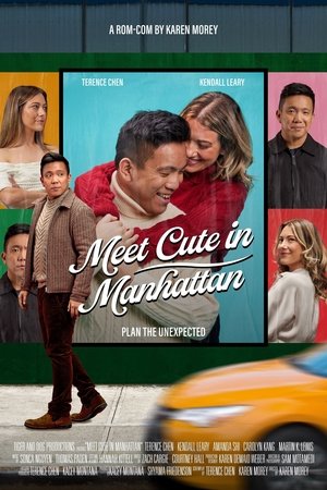 Meet Cute in Manhattan watch Meet Cute in Manhattan