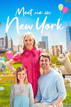 Meet Me in New York watch Meet Me in New York