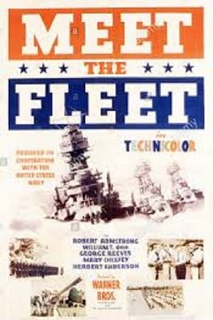 watch Meet the Fleet