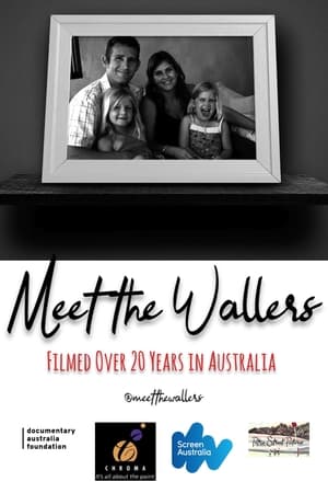 watch Meet the Wallers