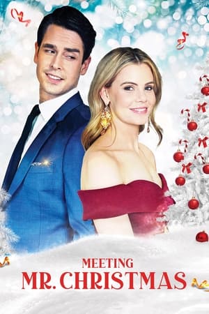 watch Meeting Mr. Christmas