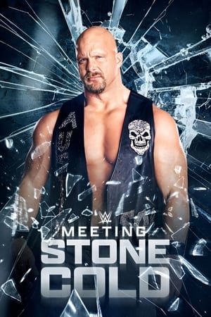 Meeting Stone Cold watch Meeting Stone Cold