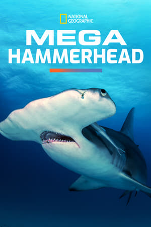 Mega Hammerhead watch Mega Hammerhead