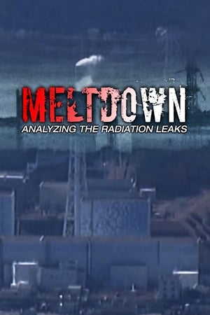 Meltdown: Analyzing the Radiation Leaks watch Meltdown: Analyzing the Radiation Leaks