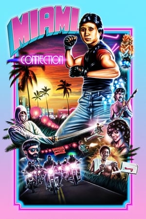 Miami Connection watch Miami Connection