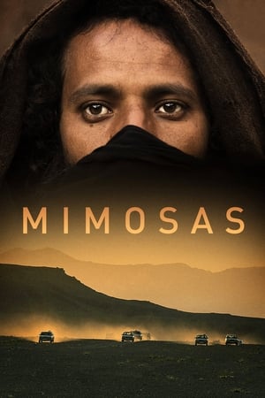 Mimosas watch Mimosas
