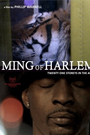 Ming of Harlem: Twenty One Storeys in the Air watch Ming of Harlem: Twenty One Storeys in the Air