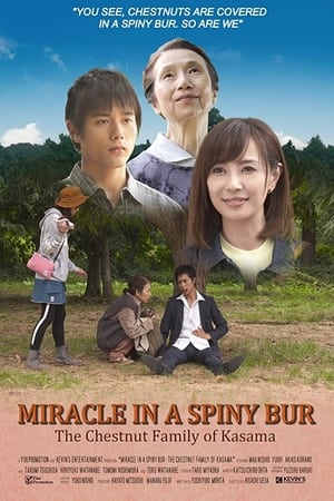 watch Miracle in Kasama