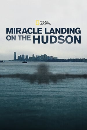 Miracle Landing on the Hudson watch Miracle Landing on the Hudson