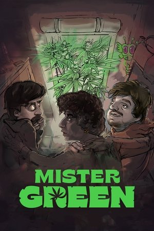 Mister Green watch Mister Green