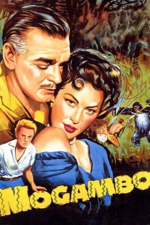 watch Mogambo