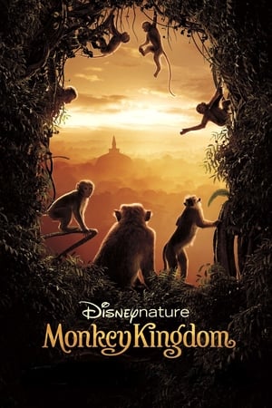 watch Monkey Kingdom