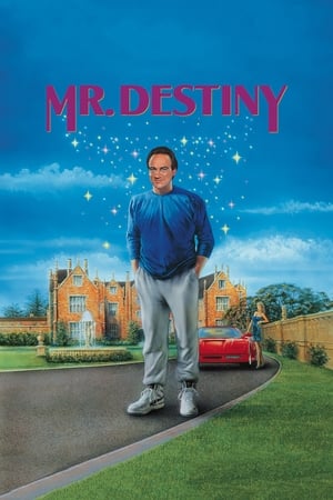 Mr. Destiny watch Mr. Destiny