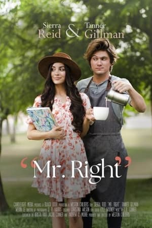 Mr. Right watch Mr. Right