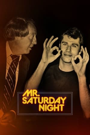 Mr. Saturday Night watch Mr. Saturday Night