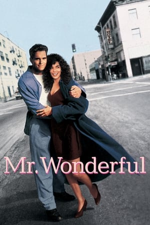 Mr. Wonderful watch Mr. Wonderful