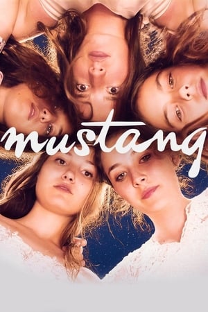 watch Mustang