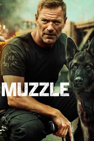 Muzzle watch Muzzle