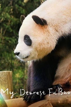 My Dearest Fu Bao watch My Dearest Fu Bao