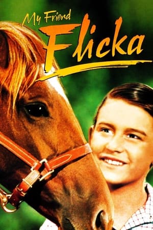 My Friend Flicka watch My Friend Flicka