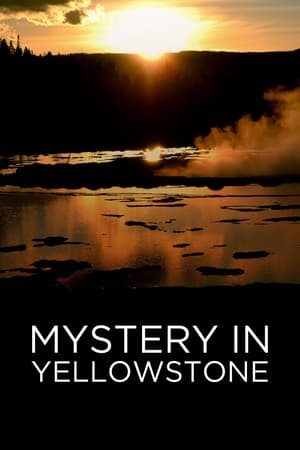 Mystery in Yellowstone watch Mystery in Yellowstone