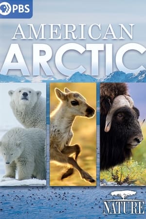 Nature: American Arctic watch Nature: American Arctic