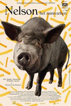 watch Nelson the Piglet