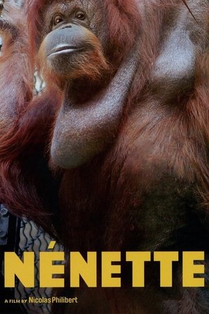 watch Nénette