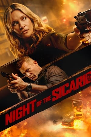 watch Night of the Sicario
