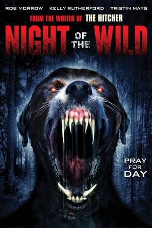 Night of the Wild watch Night of the Wild