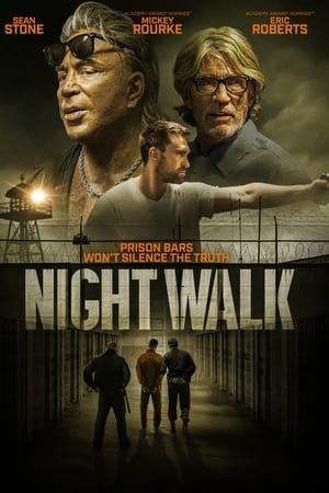 Night Walk watch Night Walk