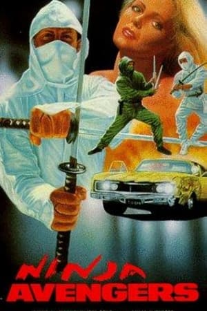 Ninja Avengers watch Ninja Avengers