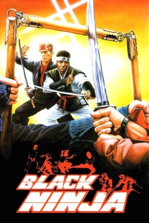 watch Ninja: Silent Assassin