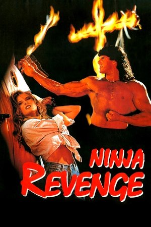 watch Ninja Vengeance