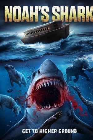 Noah’s Shark watch Noah’s Shark