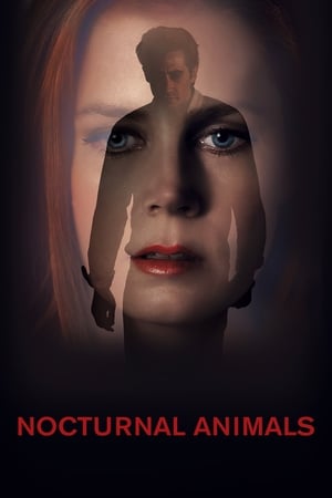 Nocturnal Animals watch Nocturnal Animals