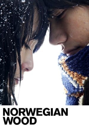 Norwegian Wood watch Norwegian Wood