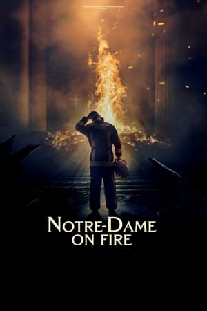 Notre-Dame on Fire watch Notre-Dame on Fire