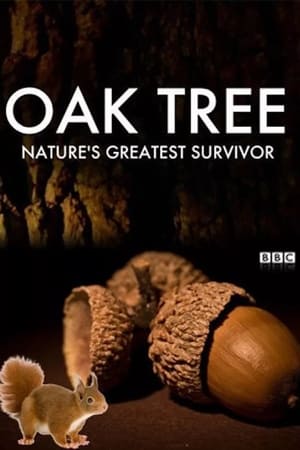 Oak Tree: Nature's Greatest Survivor watch Oak Tree: Nature's Greatest Survivor