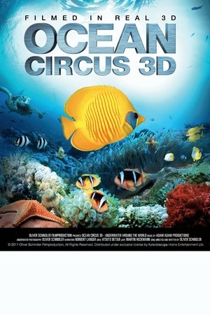 Ocean Circus 3D - Underwater Around the World watch Ocean Circus 3D - Underwater Around the World