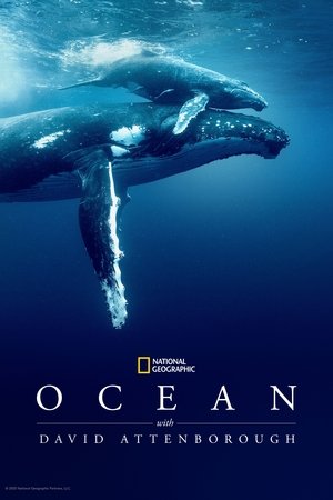 Ocean with David Attenborough watch Ocean with David Attenborough