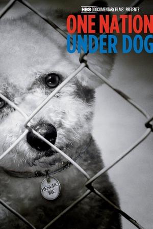 One Nation Under Dog watch One Nation Under Dog